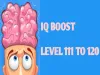 IQ boost - Level 111