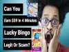 How to play Bingo Cash (iOS gameplay)