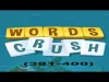 Words Crush! - Level 391
