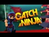 How to play Catch a Ninja (iOS gameplay)