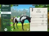 Wildshade: fantasy horse races - Level 10