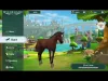 Wildshade: fantasy horse races - Level 15