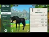 Wildshade: fantasy horse races - Level 43