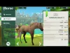 Wildshade: fantasy horse races - Level 90