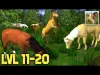 Horse Simulator - Level 11