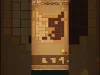 Wood Block Puzzle - Level 243