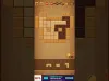 Wood Block Puzzle - Level 252