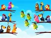 How to play Bird Sort Puzzle (iOS gameplay)