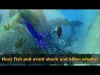 How to play Squid Simulator: Underwater Animal Life 3D (iOS gameplay)