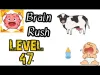 Brain Rush - Level 47