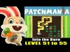 Patchmania - Level 51