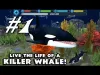 Orca Simulator - Part 1