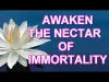 Elixir of Immortality - Part 1