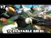 Ultimate Bird Simulator - Part 7