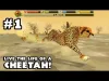 Cheetah Simulator - Part 1