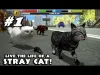 Stray Cat Simulator - Part 1