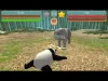How to play Panda Fighting (iOS gameplay)