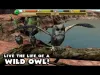 Owl Simulator - Part 2