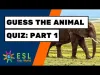 Guess The Animal? - Part 1
