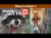 Ultimate Fox Simulator - Part 3