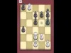 Pocket Chess - Level 360
