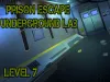 Prison Escape Puzzle - Level 7