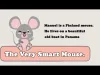 Smart Mouse - Level 3