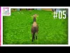 Horse Simulator - Part 5