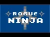 How to play Rogue Ninja (iOS gameplay)
