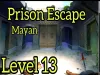 Prison Escape Puzzle - Level 13