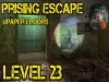 Prison Escape Puzzle - Level 23