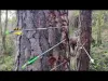 Extreme Archery - Part 1