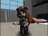 Kitten Cat Simulator 3D - Part 2