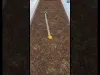 Level 32