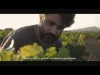Viticulture - Chapter 2