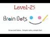 Brain Dots - Level 25
