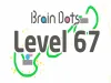 Brain Dots - Level 67
