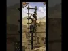 Lara Croft: Relic Run - Level 73