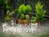 Topiary - Part 1
