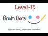 Brain Dots - Level 13