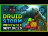 Werewolf - Level 100