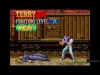 How to play FATAL FURY 3 ACA NEOGEO (iOS gameplay)