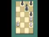 Pocket Chess - Level 315