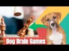 Brain Puzzle: Fun & Games - Level 3