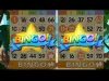 Bingo Party - Part 1