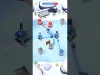 Level 30