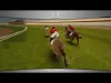 Race Horses Champions - Part 8
