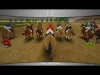 Race Horses Champions - Part 4