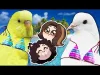 Hatoful Boyfriend - Part 3