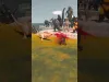 How to play Animal Revolt Battle Simulator (iOS gameplay)